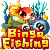 Bingo Fishing JiliBay Casino