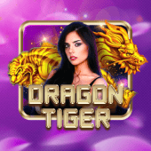 Dragon Tiger JiliBay Casino live
